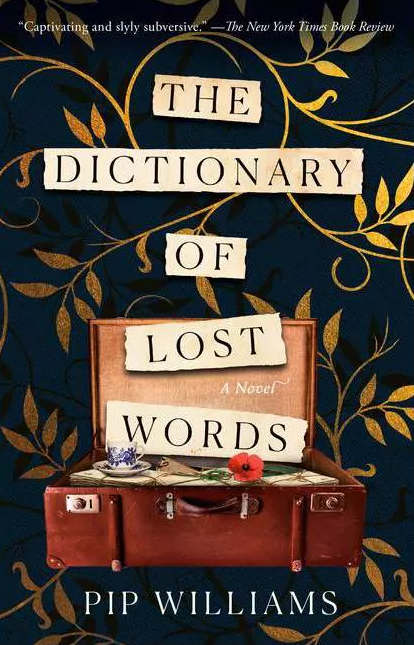 The Dictionary of Lost Words